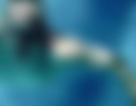 Ray