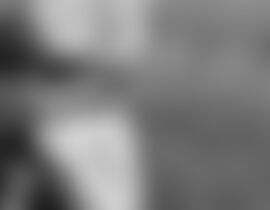 lukfl2006